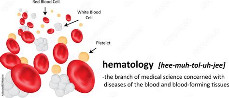 fdp meaning hematology